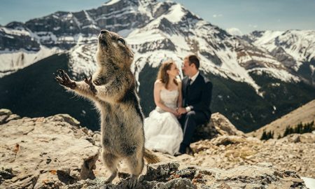 Netradičné svadobné fotografie