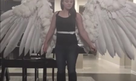 anjelské krídla