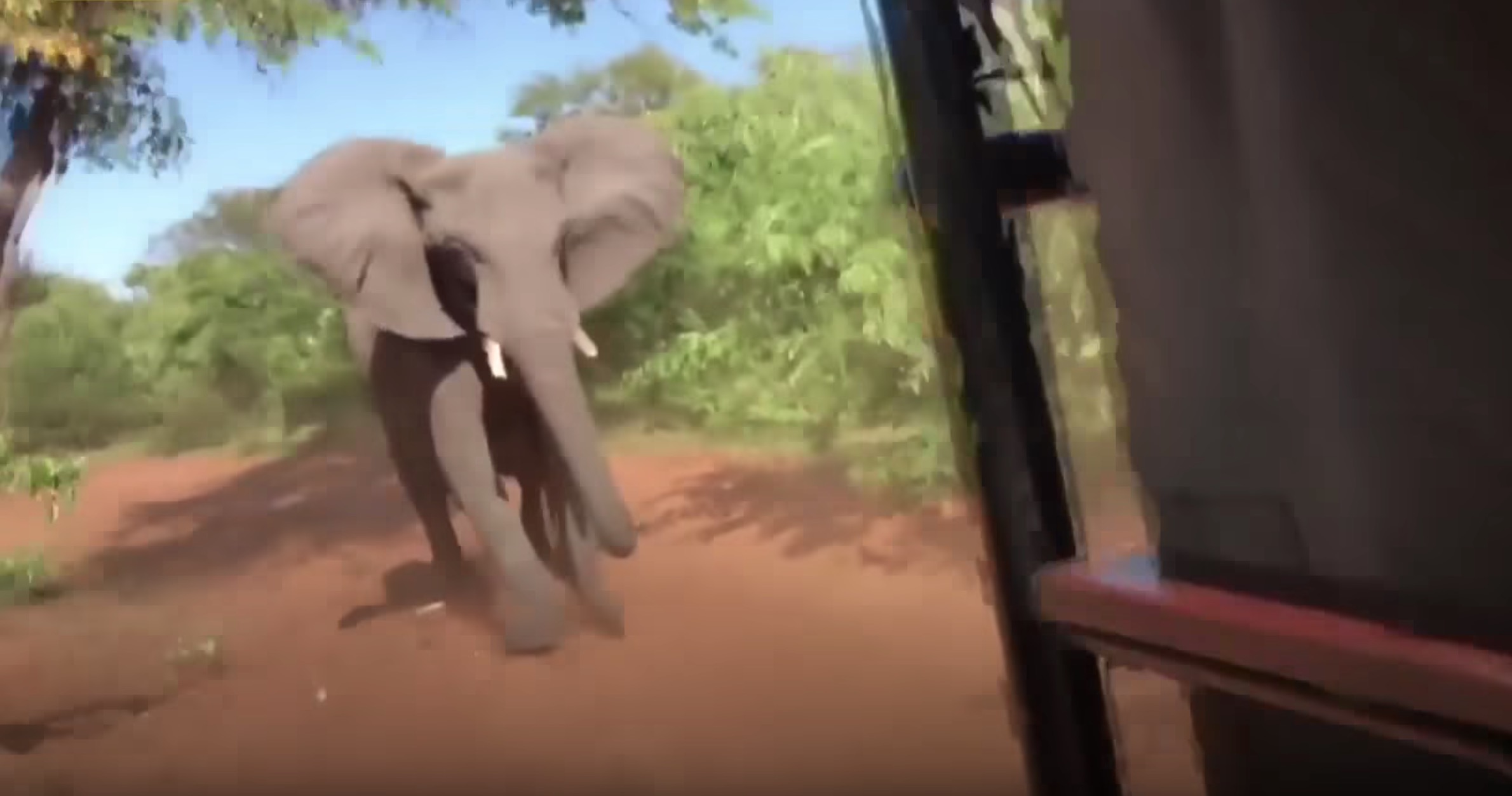 útok slona