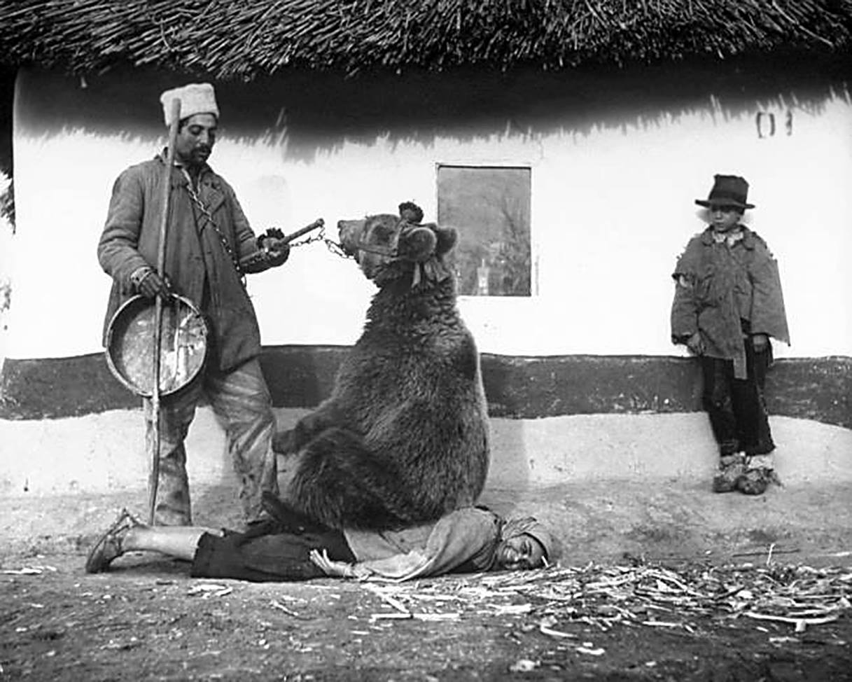Medveď ako masér, či presun budovy: 10 historických fotografií