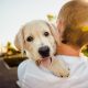Byť milovníkom psov môže byť vo vašich génoch
