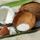 Prečo ťažiť drevo, keď máme kokosové šupiny, ktoré sú odolné voči ohňu?
