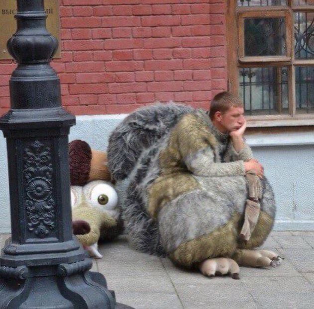 absurdné fotografie