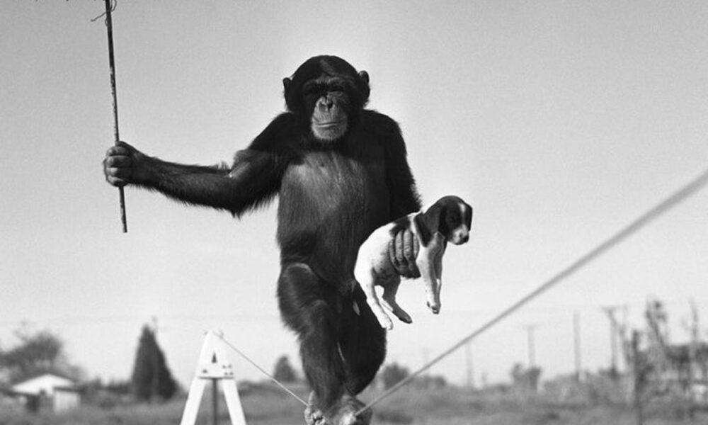 jedinečné fotografie