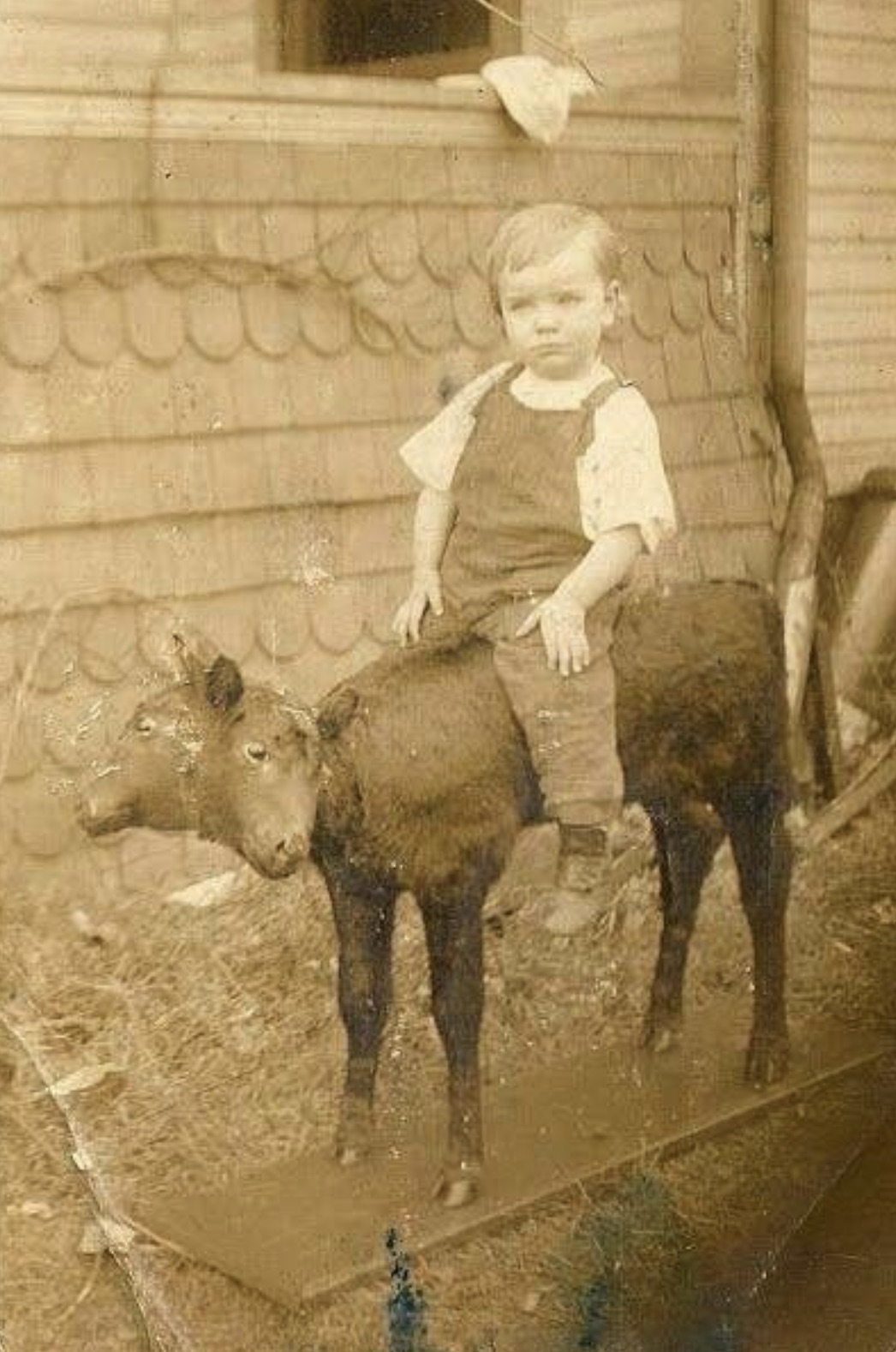 Bizarné historické fotografie