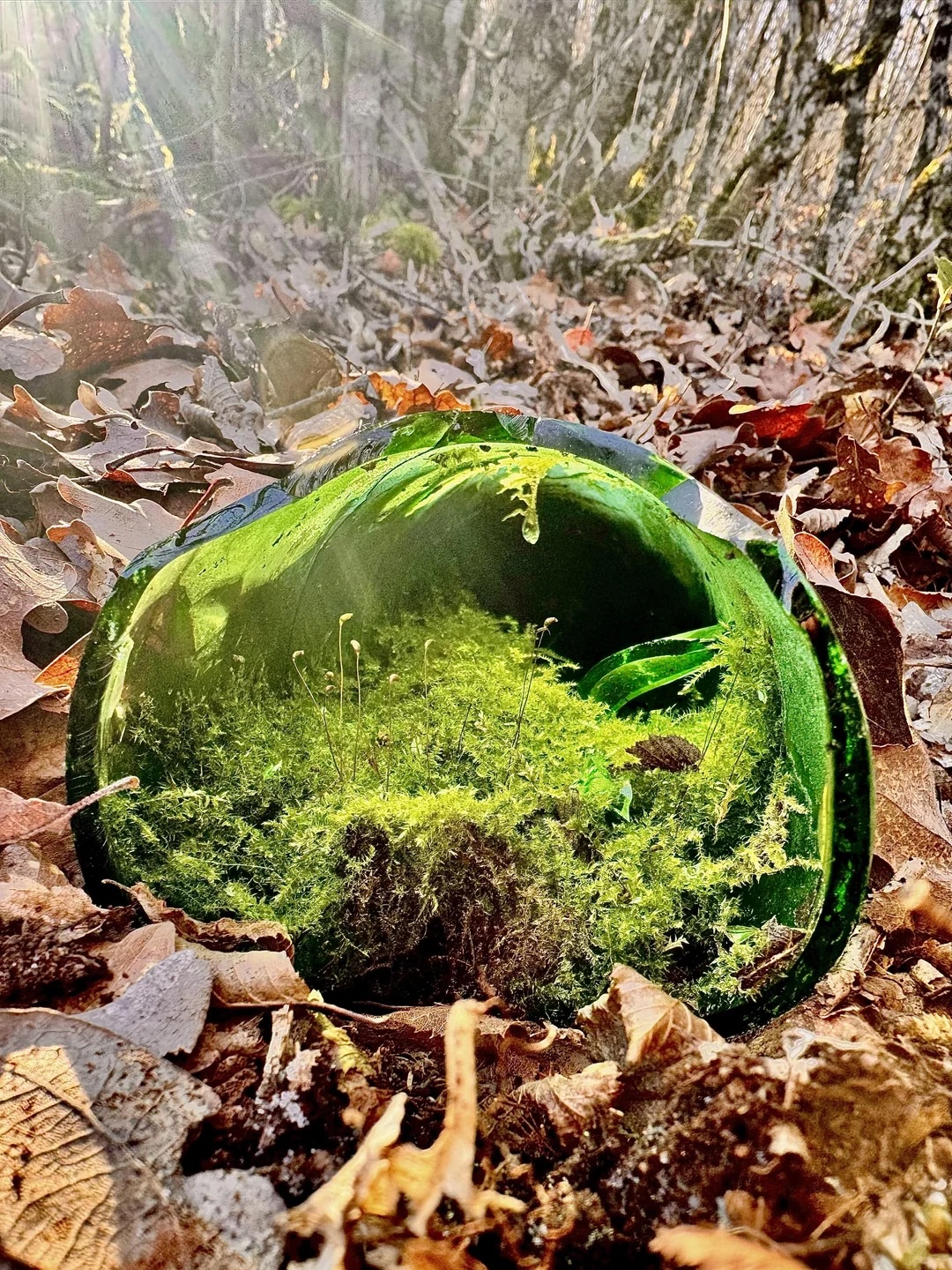 zaujímavé fotografie