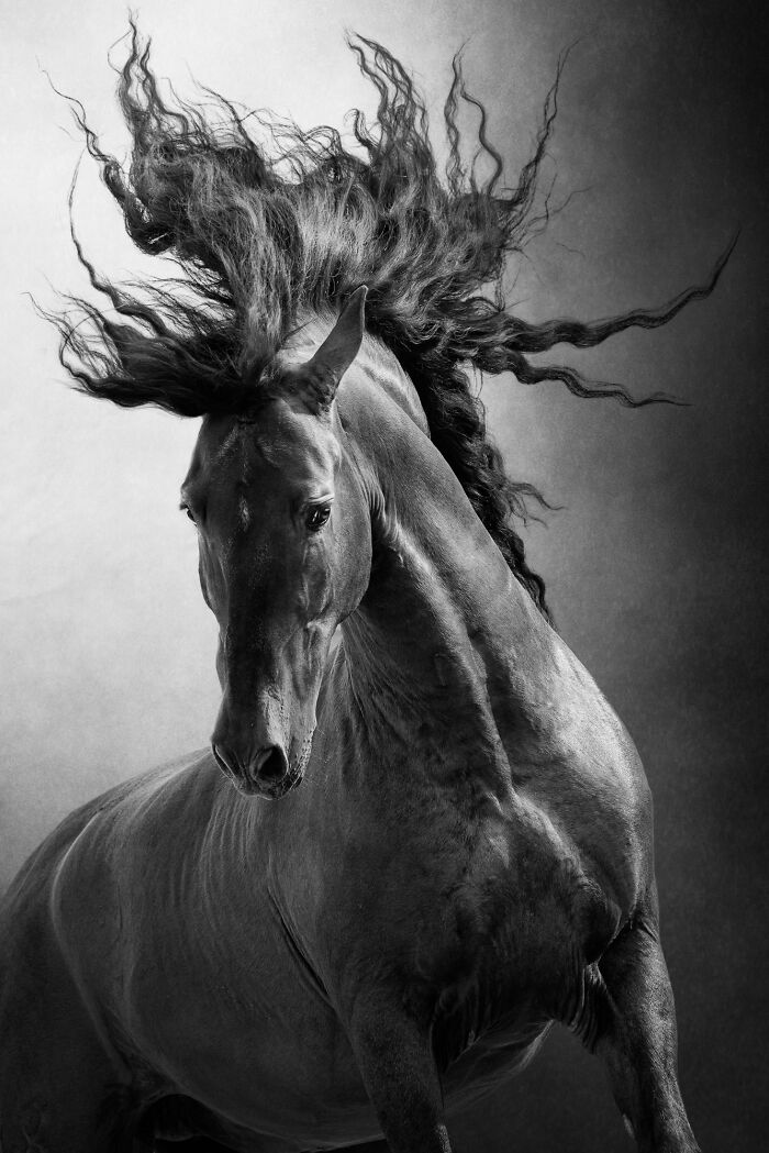 najlepšie fotografie