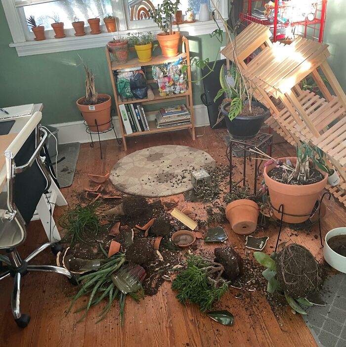 bolestivé fotografie