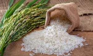 ryža
