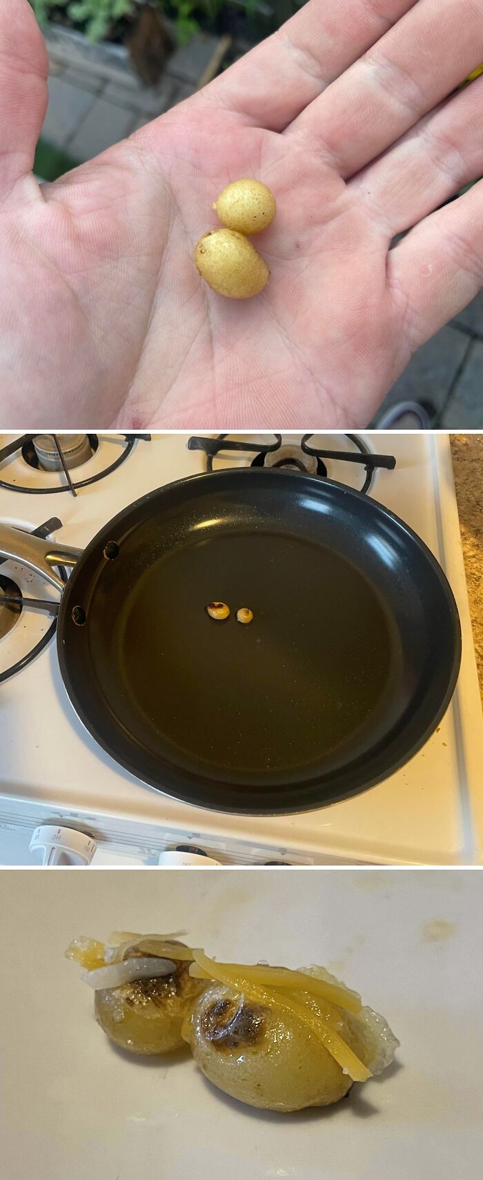 záhradkárske zlyhania