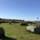 objav